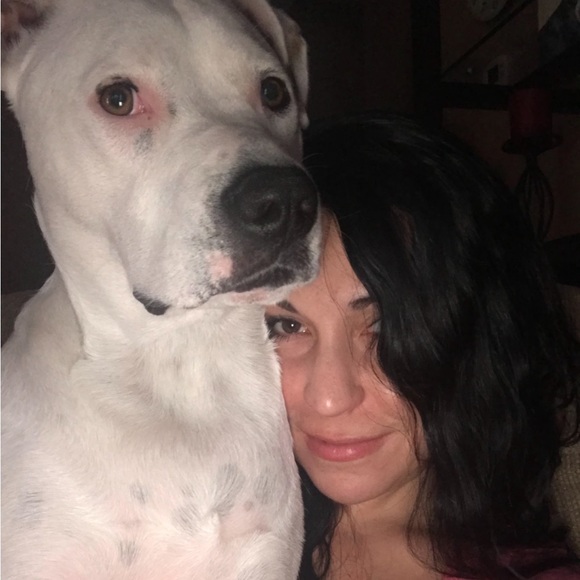 Meet your Posher, Josie - Picture 6 of 12